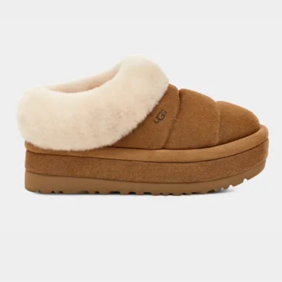 UGG Shoes - UGG Tazzlita - Women's, Chestnut, Size 8 - NWT